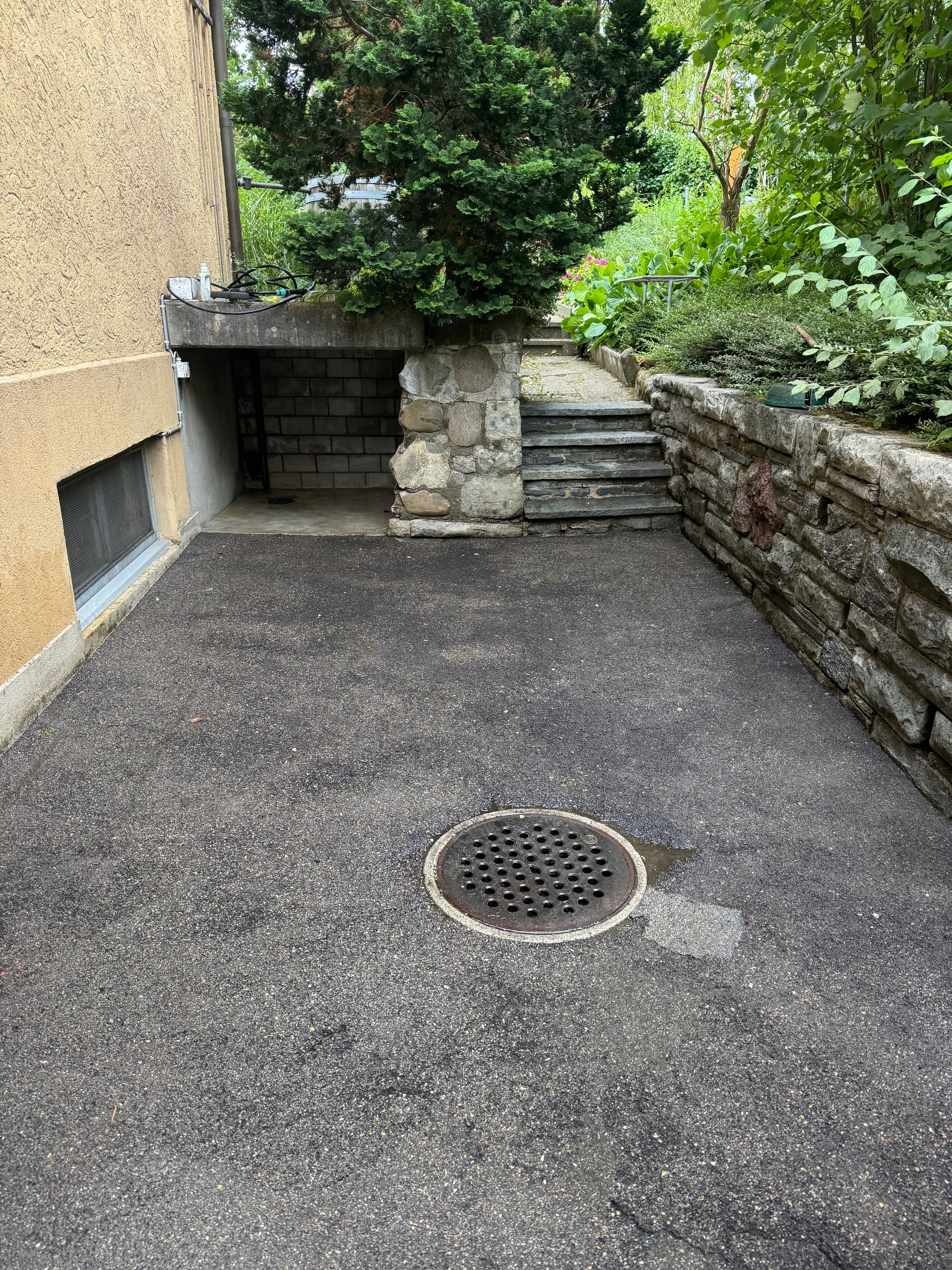 Vorplatz & Einfahrt Reinigung – Nachher