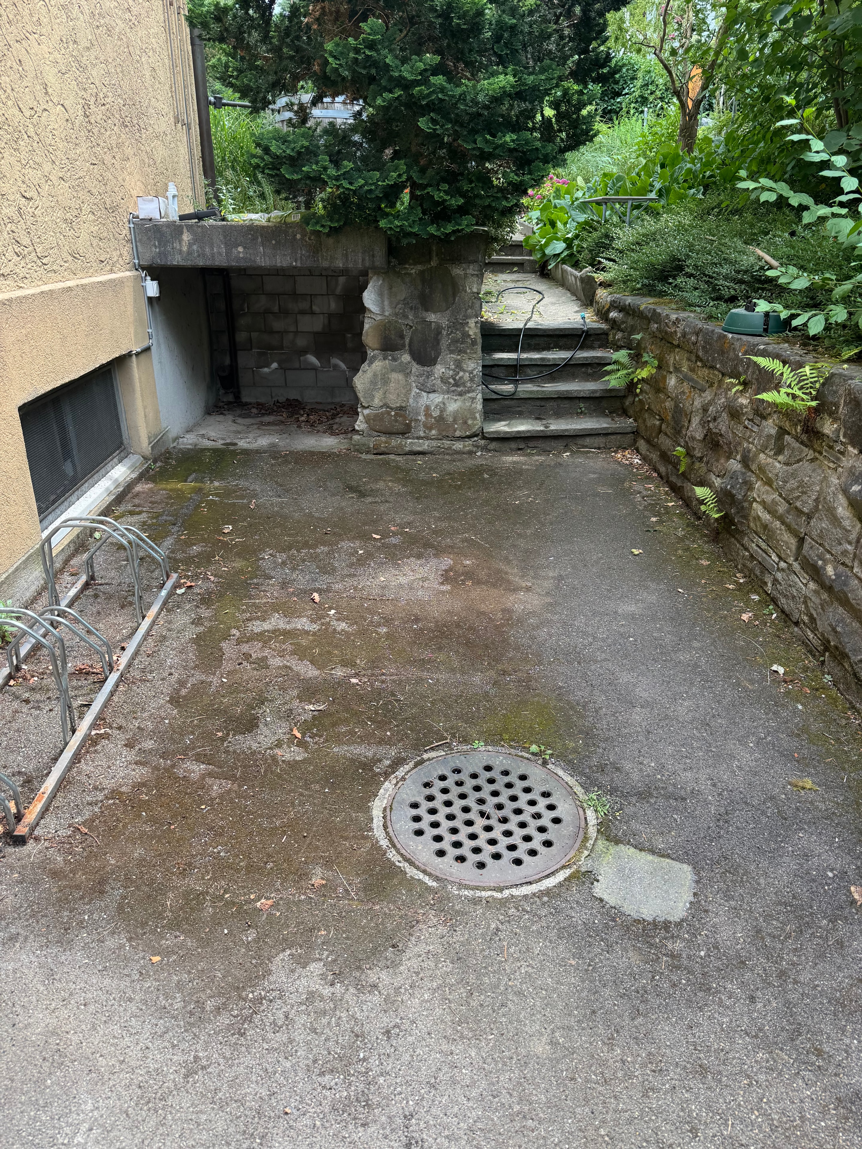 Vorplatz & Einfahrt Reinigung – Vorher